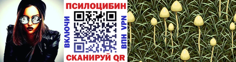 Галлюциногенные грибы GOLDEN TEACHER  наркотики  Аксай 