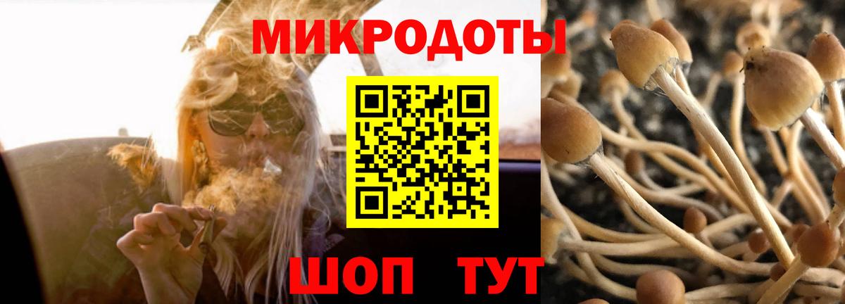 Галлюциногенные грибы GOLDEN TEACHER Аксай